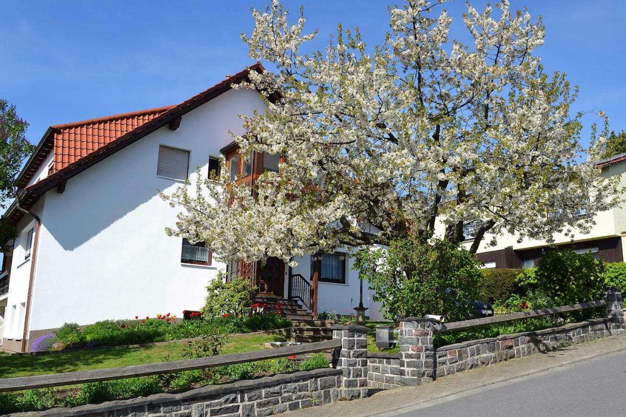 Fewo Ackermann Modautal Esterno foto